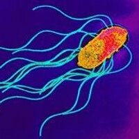 BacPath 17 (@bacpath) 's Twitter Profile