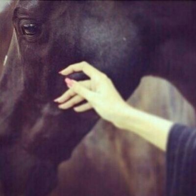 ‏وارثه من ابوي العز وطناخة الراس♪                                            × الخاص مهمل ×