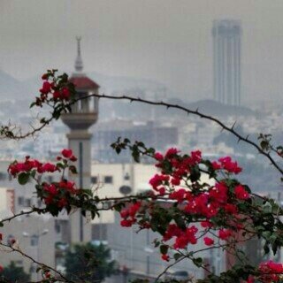 　‏​‏ صبرنا ع ما جابہ الؤقت زين و شين  و لا حطمن صكات بقعا عزايمنا .