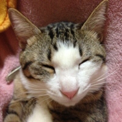 hitomm1's profile picture. 未来の子供達に嘘の歴史を教える
教育、テレビ、新聞が許せない！

日本の真実を未来の子供達に教えていくべきである
それには、親が学ばなければならない。
まいっか！で済まされない事態が
起きているのに、知らなかったでは取り返しが付かないのです。
真実の歴史を学ぶべき
日本人である事に誇りが持てるはずですよ。