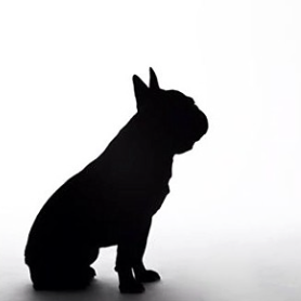 LaBouledogue's profile picture. 14.5.04 – 15.8.17