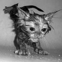 Bruno Evans - @Bme5628Bruno - Twitter