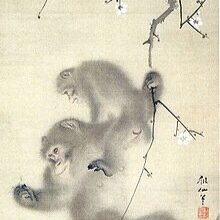 azuki_3303's profile picture. 