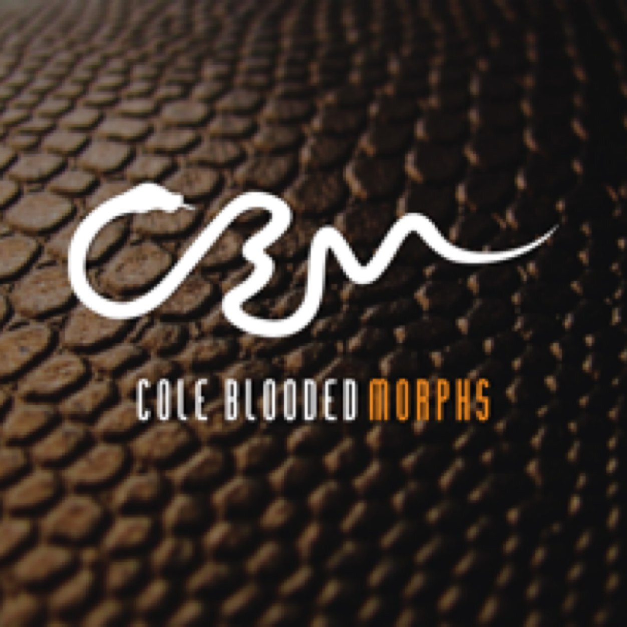 @cbmorphs