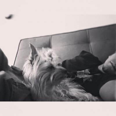 Kcresj's profile picture. Venezuela - Incoherencia - Economia - Vini Vidi Veterni - instagram @kcresj