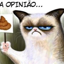 vearaujosouza's profile picture. 01/10