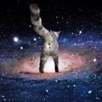 宇宙に漂う宇宙ねこちゃんを拾い集めて放出
宇宙は今も広がり続けてる。