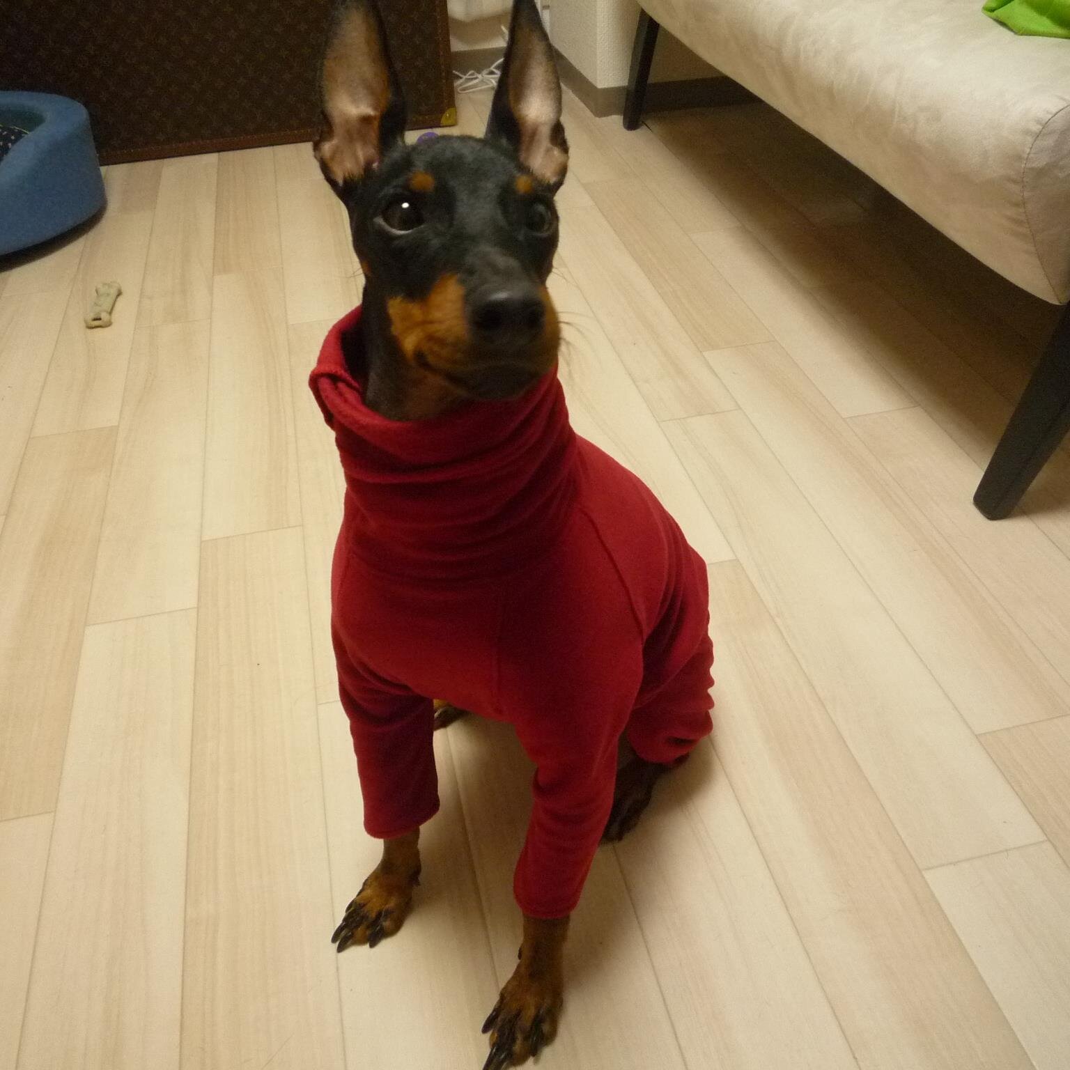 paleceducoeur1's profile picture. 