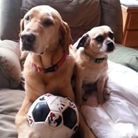 CoopersDogpatch's profile picture. Lover of Ice Cream, King at Dogpatch Resort....www.dogpatchresort.com