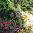 Rachel Lander - @LandercRachel - Twitter