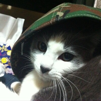 mst1103mst's profile picture. #aespa @aespa_official