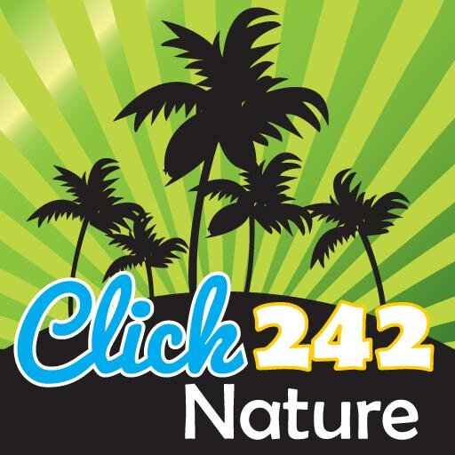 Promoting the environmental community in The Bahamas. Sharing local & global environmental news. Raising awareness.