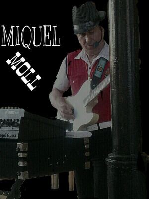 Músico profesional. Instrumentista: guitarra clásica,eléctrica...,teclados, piano,bajo,bateria...Cantante. Arreglista. Compositor. 
También pinto cuadros, etc