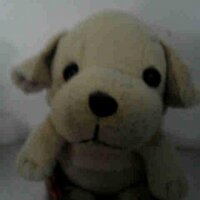 ネットで見つけた気になる話題 (@skmtkc) 's Twitter Profile
