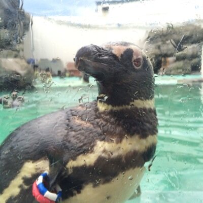 0314Koike's profile picture. リア垢 上越です。 
別垢。日常を少々(　ﾟдﾟ)