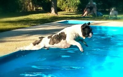 PeRiJeY's profile picture. 