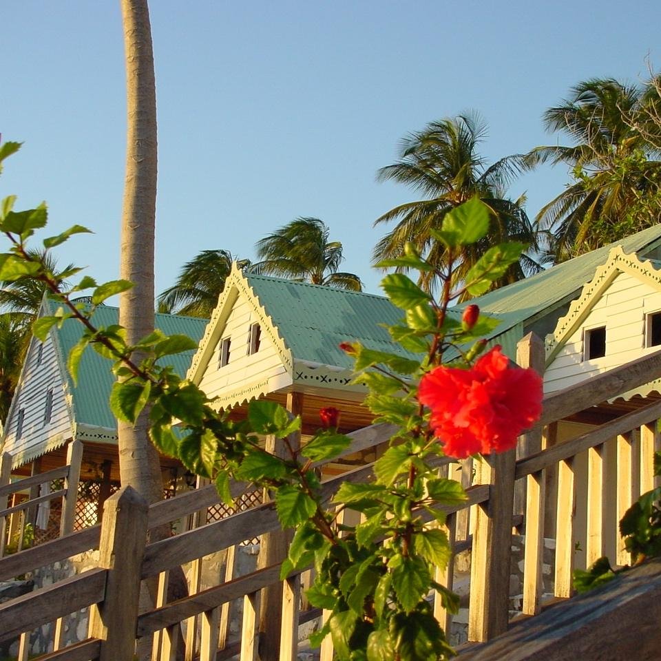 Hôtel sur l'ile à vache