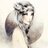 GiannaBZH's profile image