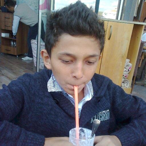 hayvan sever,futbol fanatiği,taylor aşığı