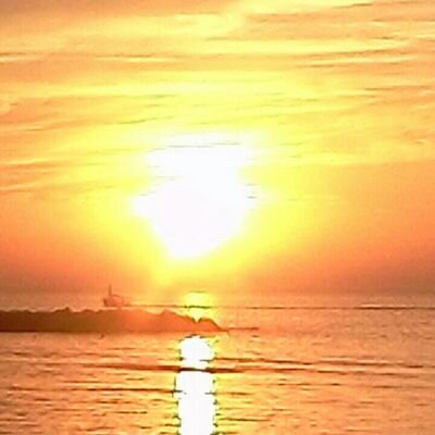 zvika11077's profile picture. 