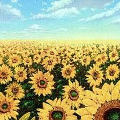山田太郎　アフィリエイター