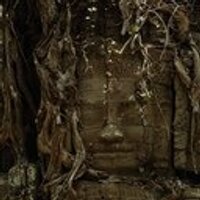 Jbone007 (@jbone0071) 's Twitter Profile