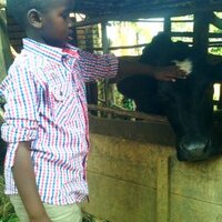 Etienne Nkusi (@stevkrw1) 's Twitter Profile