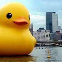 PATITOXXL (@patitoxxl) 's Twitter Profile Photo