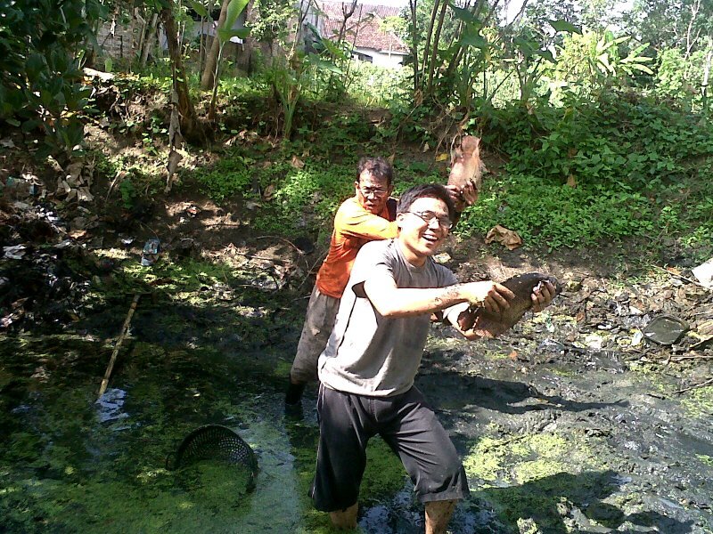 MFauziSetiawan's profile picture. Belajar Psikologi, Belajar Bertani, Belajar memaknai hidup dan kehidupan