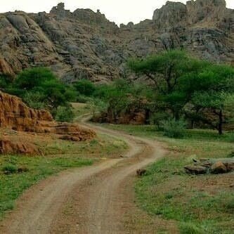 الخيل من خيالها والنار من شبابها والقوم من نبابها