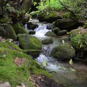 Roy Folsom - @golferroy1 - Twitter