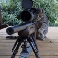 وردة حمراء (@alveoto) Twitter profile photo