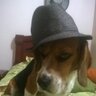 Tiagomvz's profile picture. la Santisima Virgen María es el camino mas corto, seguro y perfecto para llegar a Jesus