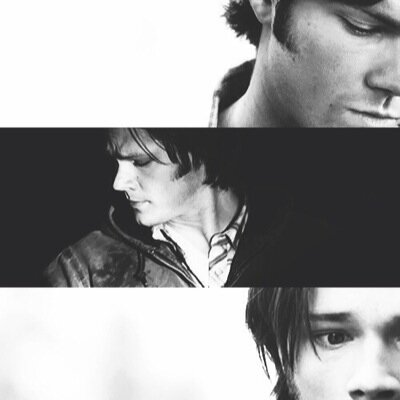 free follow from @waywarddestiel