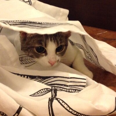 DonchenkoNadia's profile picture. 