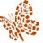 cepaecologia's profile image