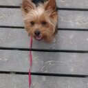 Barbara Mary Collier - @mary_barbaracol - Twitter