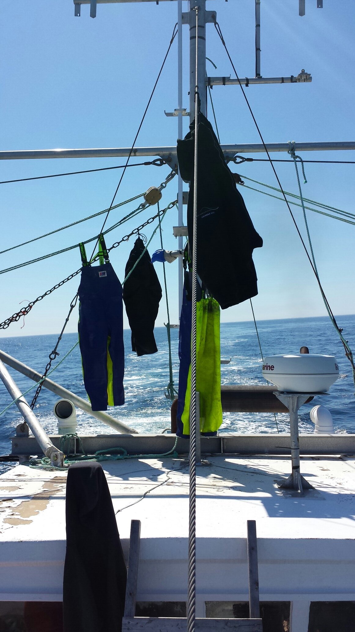 meanysisland's profile picture. Fishermen, Bay Bulls Councilor,  husband and father of 2.