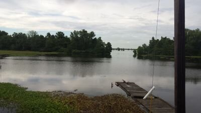 MustacheMike2's profile picture. 