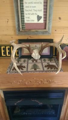 KennethMinnick's profile picture. 