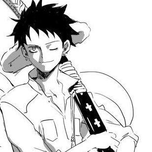 Trafalgar Law トラファルがロー
Ope Ope no Mi オペオペの実
