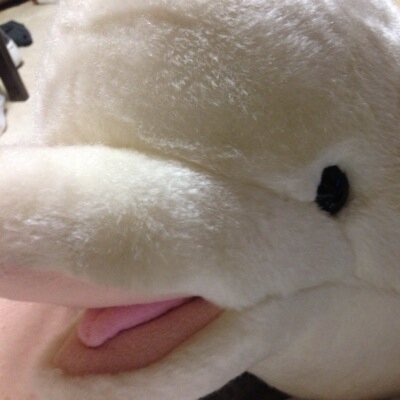 特に意味なく独り言を呟いています。多方面に興味あり。勝手にフォローしてます。ごめんなさい。台湾独立・六四天安門