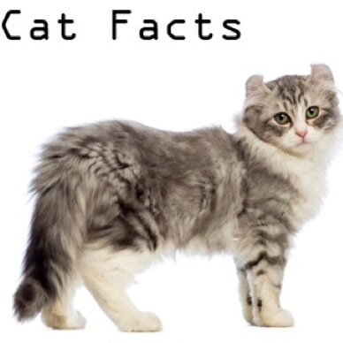 Providing you with must know cat facts! If you would like to contribute a fact send us a message! 
B.C. Canada