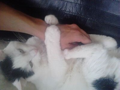 michi_van's profile picture. 