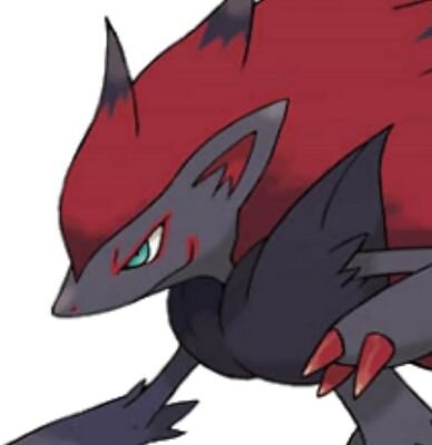 Zoroark_pkbot's profile picture. 전 조로아크봇(Zoroak_kr_bot)의 오류가 생겨 다시만들어진 비공식적 100%수동봇/포켓몬스터 극장판'환영의 패왕 조로아크'스토리 기반(그 후의 얘기도 기반)/했으면 하는말은 DM/생활력으로는 아직 약간 부족한 점이 있음 주의/