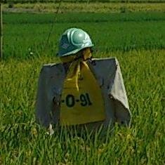 serizawa_ippan's profile picture. 執着をしないようにしようとしています