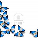 nancy mabel gentile - @GentileMabel - Twitter