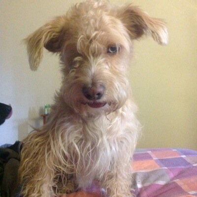 Amante de la vida, de los animales. Rescatista de animalitos en peligro. Practico ciclismo, las manualidades, la moda y la lectura. Quien como Dios? Feliz!