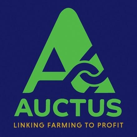 AUCTUS