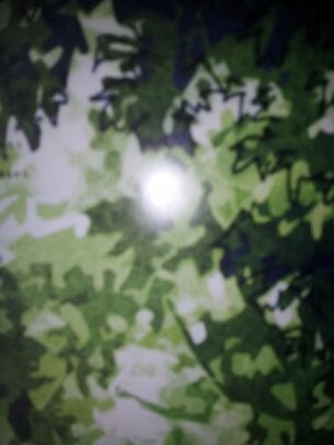 16세,남,본진:자주변경,글,그림쟁이,갱생펀치,전 닉네임:야츠 잘부탁드립니다★ 마비노기 만돌섭,던파스타트섭,엘솓솔레스섭